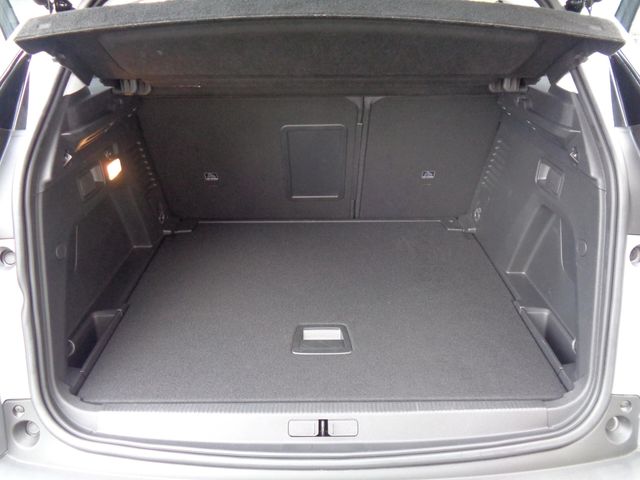 Peugeot 3008 2019-01 11790-7