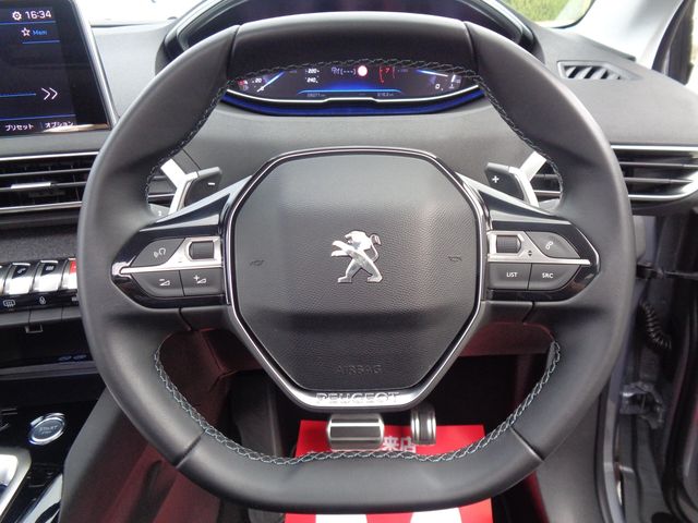 Peugeot 3008 2019-01 11790-13
