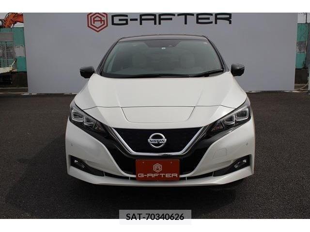 Nissan LEAF 2018-01 274719-7