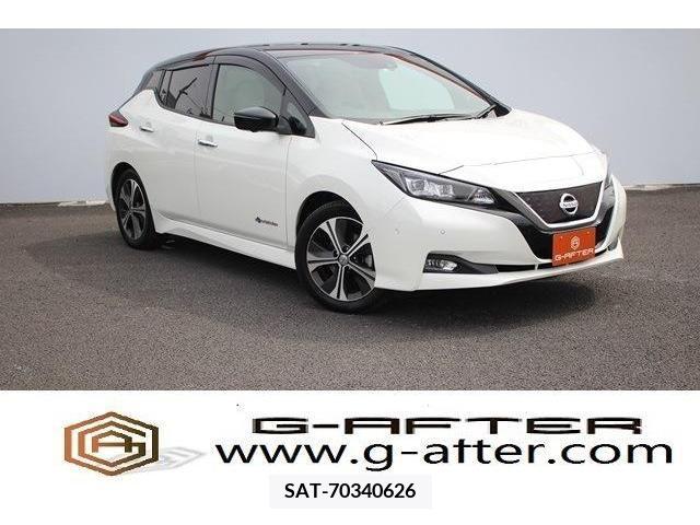 Nissan LEAF 2018-01 274719-0