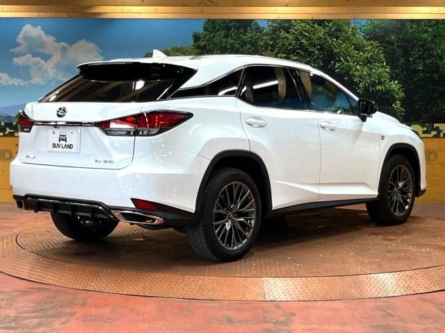 Lexus RX 2022-02 186855-17