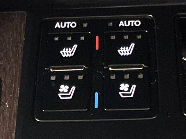 Lexus RX 2022-02 186855-7
