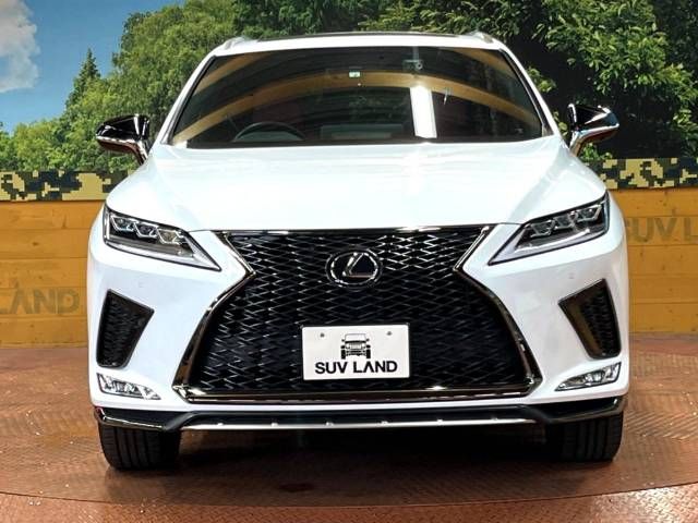 Lexus RX 2022-02 186855-14