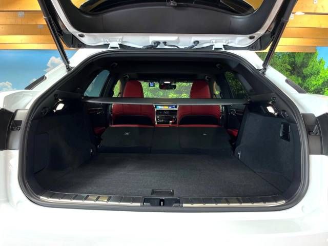 Lexus RX 2022-02 186855-10