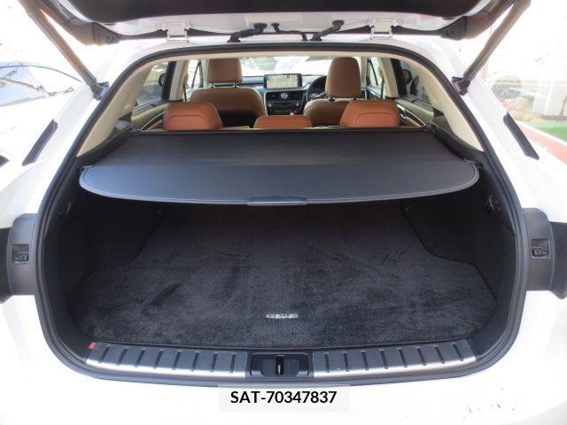 Lexus RX 2020-10 391932-19