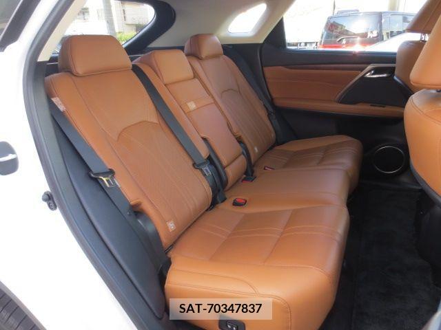 Lexus RX 2020-10 391932-18