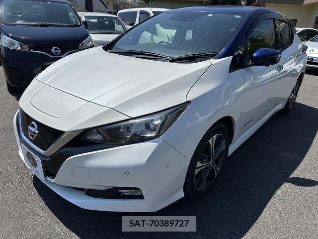 Nissan LEAF 2017-10 329240-5