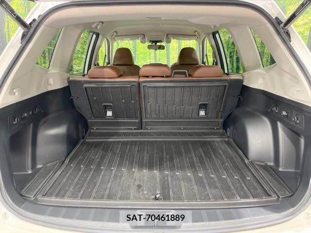 Subaru FORESTER 2020-01 316044-10