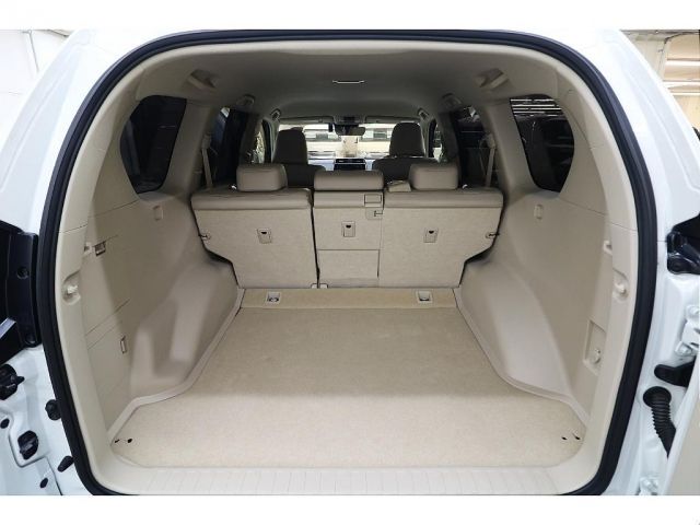 Toyota PRADO 2018-11 195395-8