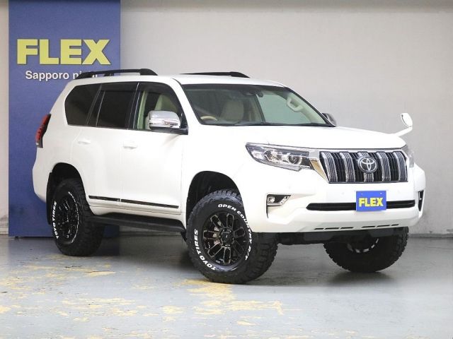 Toyota PRADO 2018-11 195395-3
