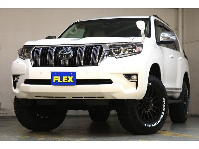 Toyota PRADO 2018-11 195395-19