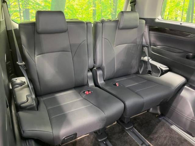 Toyota ALPHARD HYBRID 2018-07 183333-10