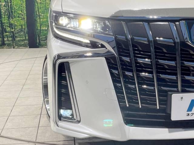 Toyota ALPHARD HYBRID 2018-07 183333-13