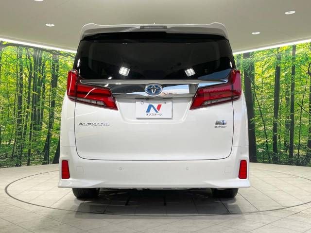 Toyota ALPHARD HYBRID 2018-07 183333-16
