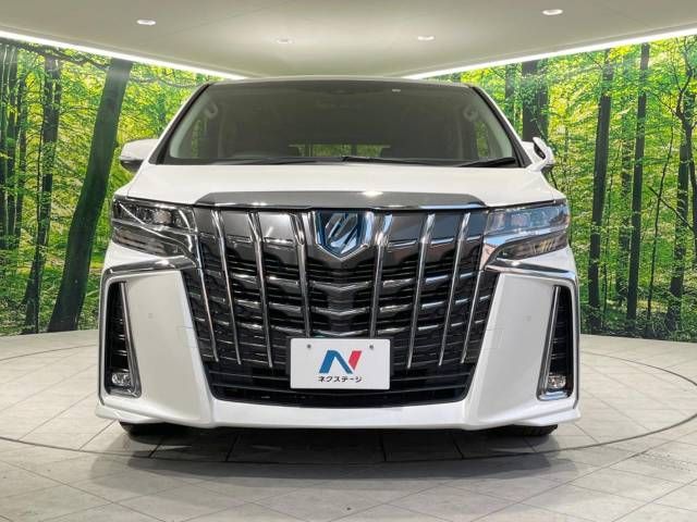 Toyota ALPHARD HYBRID 2018-07 183333-15