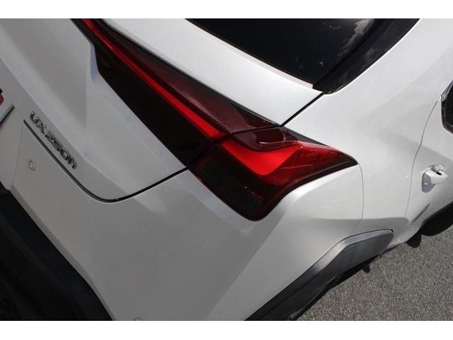 Lexus UX 2019-03 8609-13