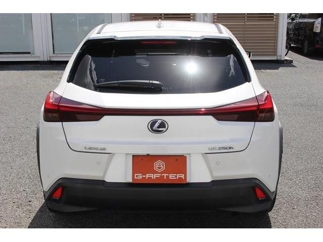 Lexus UX 2019-03 8609-9