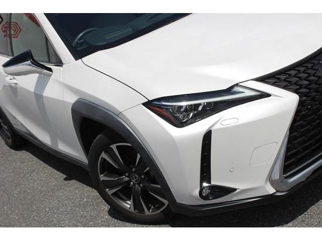 Lexus UX 2019-03 8609-12