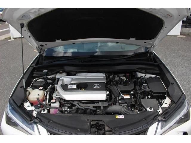 Lexus UX 2019-03 8609-18