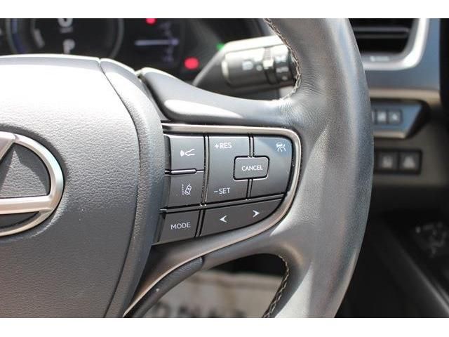 Lexus UX 2019-03 8609-4