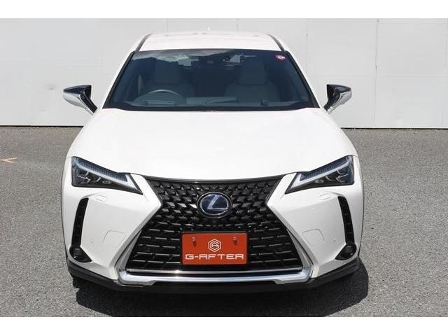 Lexus UX 2019-03 8609-7