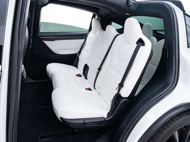 Tesla MODEL X 2018-03 12115-4