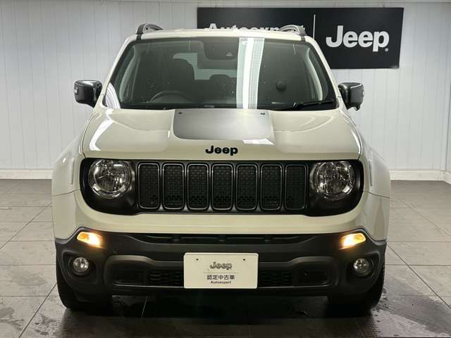 Jeep RENEGADE 2022-06 16861-3