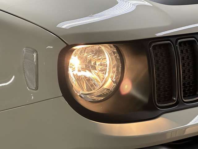 Jeep RENEGADE 2022-06 16861-9