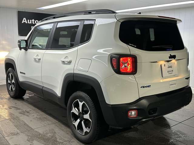 Jeep RENEGADE 2022-06 16861-2
