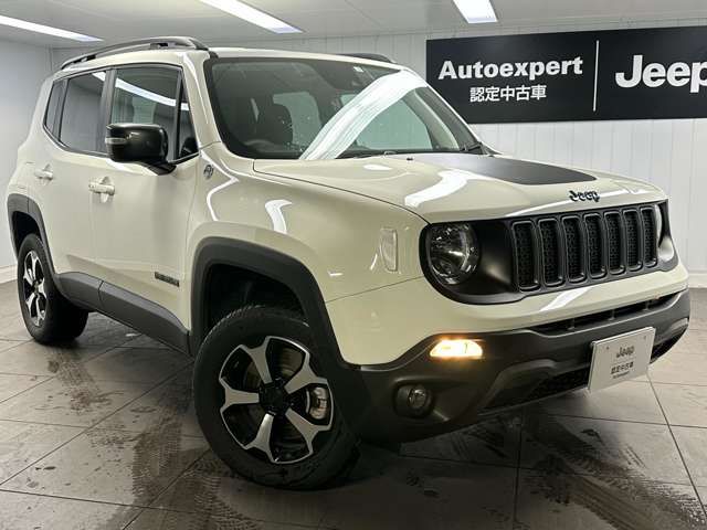 Jeep RENEGADE 2022-06 16861-5