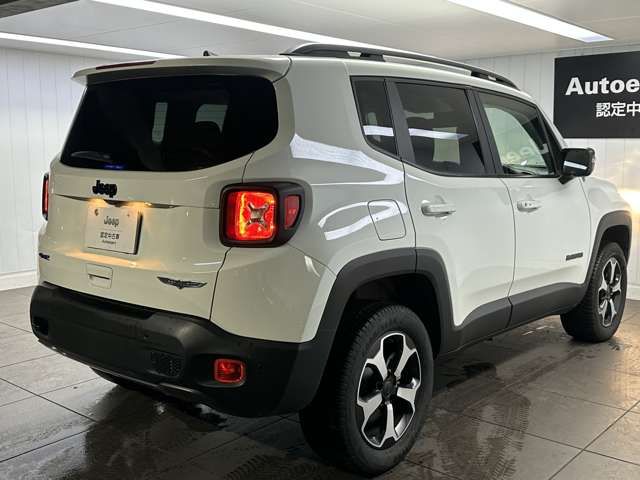 Jeep RENEGADE 2022-06 16861-8