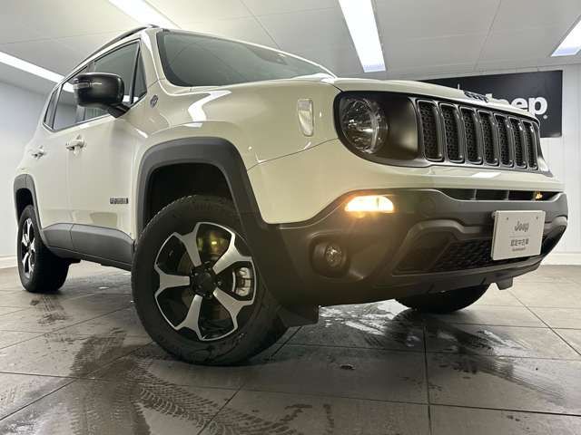 Jeep RENEGADE 2022-06 16861-7