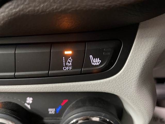 Jeep RENEGADE 2016-02 17636-12