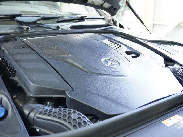Mercedes Benz S-CLASS 2018-10 24524-8