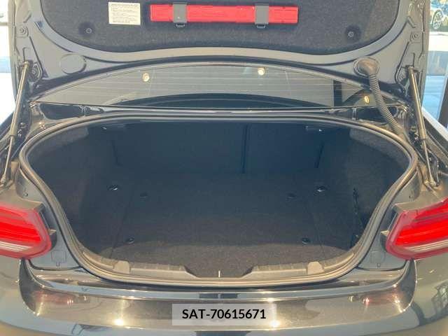 Bmw M2 2018-09 225196-10