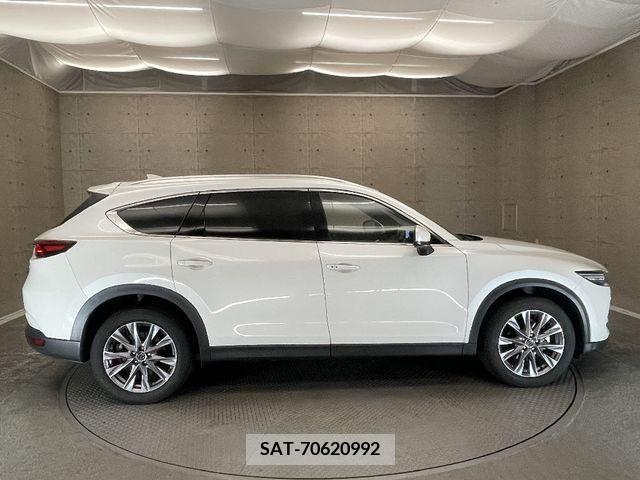 Mazda CX-8 2019-07 385042-7