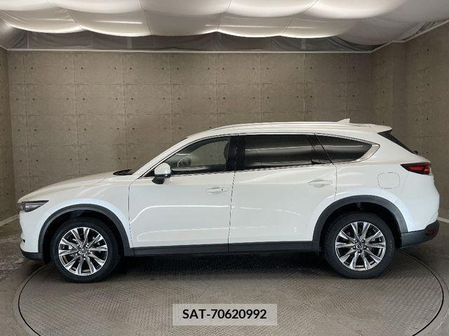 Mazda CX-8 2019-07 385042-8