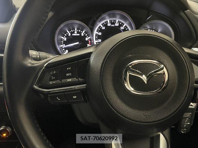 Mazda CX-8 2019-07 385042-20