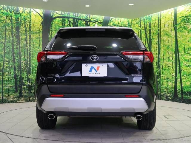 Toyota RAV4 2019-07 11889-15