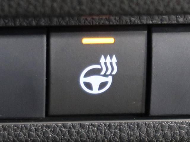Toyota RAV4 2019-07 11889-7