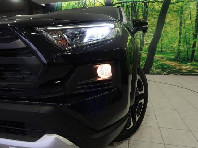 Toyota RAV4 2019-07 11889-12