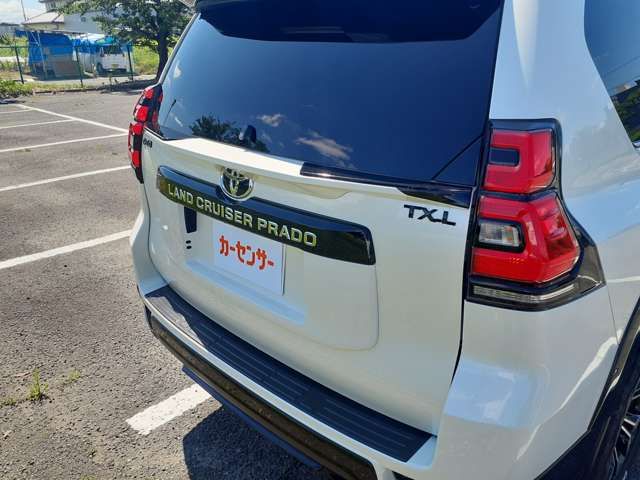 Toyota PRADO 2021-03 8124-19