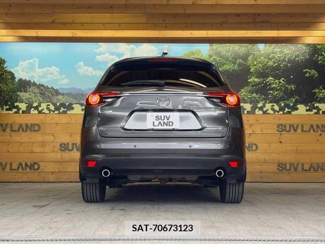 Mazda CX-8 2018-08 266187-15