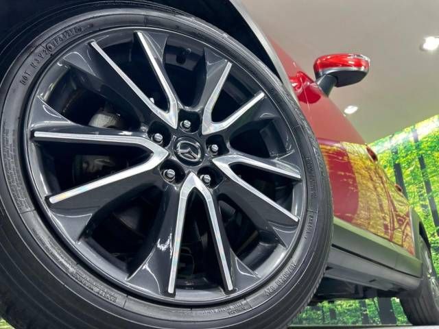 Mazda CX-3 2016-11 16266-12