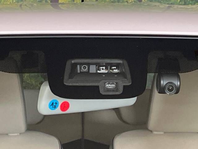 Suzuki LAPIN 2021-06 186856-2