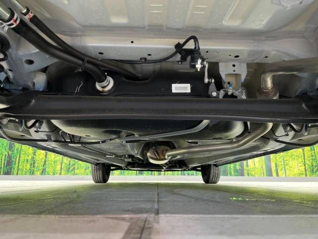 Suzuki LAPIN 2021-06 186856-19