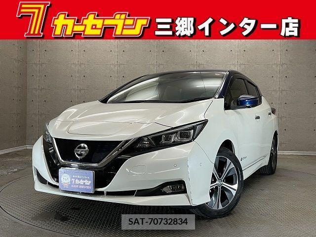 Nissan LEAF 2018-10 232406-0