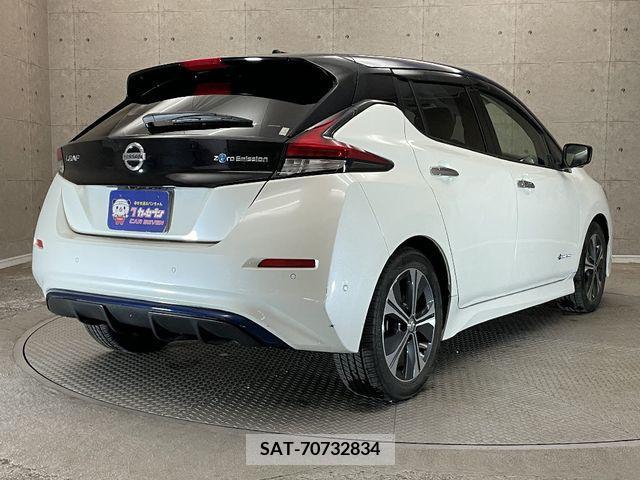 Nissan LEAF 2018-10 232406-1
