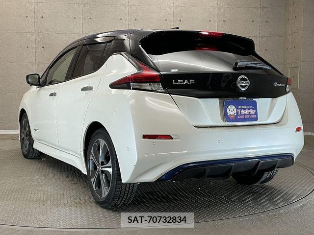 Nissan LEAF 2018-10 232406-10