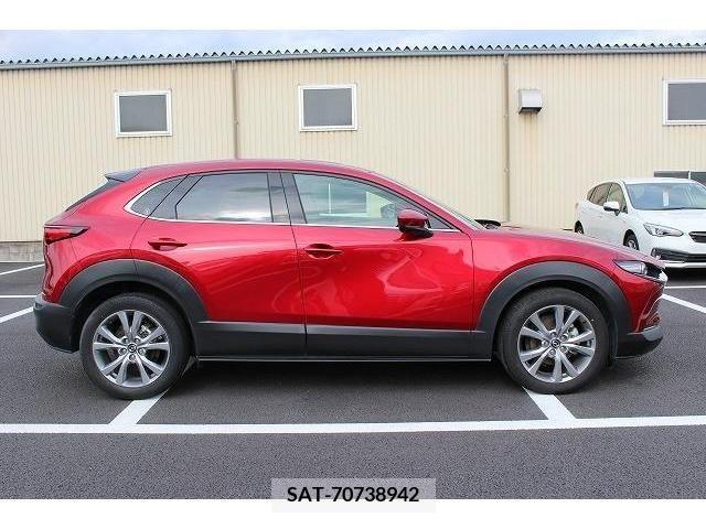 Mazda CX-30 2019-01 302097-8